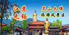 吊黑啪啪啪啪江苏无锡灵山大佛旅游风景区